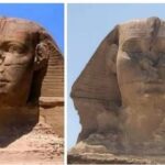 “Les Yeux du Sphinx” et “Les Petits-fils des Pharaons”, des tendances qui ont explosé 6 - Le Progrès Egyptien “Les Yeux du Sphinx” et “Les Petits-fils des Pharaons”, des tendances qui ont explosé 5 - Le Progrès Egyptien