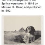 “Les Yeux du Sphinx” et “Les Petits-fils des Pharaons”, des tendances qui ont explosé 10 - Le Progrès Egyptien “Les Yeux du Sphinx” et “Les Petits-fils des Pharaons”, des tendances qui ont explosé 9 - Le Progrès Egyptien