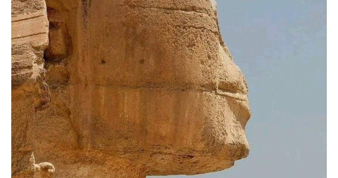“Les Yeux du Sphinx” et “Les Petits-fils des Pharaons”, des tendances qui ont explosé 1 - Le Progrès Egyptien