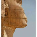 “Les Yeux du Sphinx” et “Les Petits-fils des Pharaons”, des tendances qui ont explosé 4 - Le Progrès Egyptien “Les Yeux du Sphinx” et “Les Petits-fils des Pharaons”, des tendances qui ont explosé 3 - Le Progrès Egyptien
