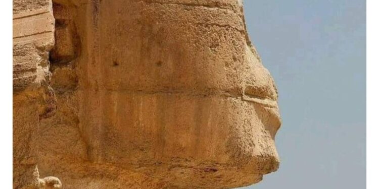 “Les Yeux du Sphinx” et “Les Petits-fils des Pharaons”, des tendances qui ont explosé 2 - Le Progrès Egyptien “Les Yeux du Sphinx” et “Les Petits-fils des Pharaons”, des tendances qui ont explosé 1 - Le Progrès Egyptien