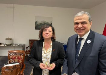 Saafane : Renforcer les compétences des techniciens égyptiens avec la GIZ