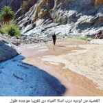 “Les Yeux du Sphinx” et “Les Petits-fils des Pharaons”, des tendances qui ont explosé 18 - Le Progrès Egyptien “Les Yeux du Sphinx” et “Les Petits-fils des Pharaons”, des tendances qui ont explosé 17 - Le Progrès Egyptien