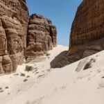 “Les Yeux du Sphinx” et “Les Petits-fils des Pharaons”, des tendances qui ont explosé 12 - Le Progrès Egyptien “Les Yeux du Sphinx” et “Les Petits-fils des Pharaons”, des tendances qui ont explosé 11 - Le Progrès Egyptien