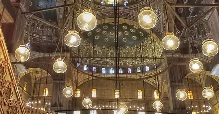 Avez-vous vu... ? 1 - Le Progrès Egyptien