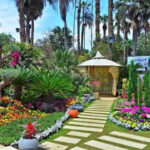 Le jardin d’Orman: Une beauté resplendissante 9 - Le Progrès Egyptien