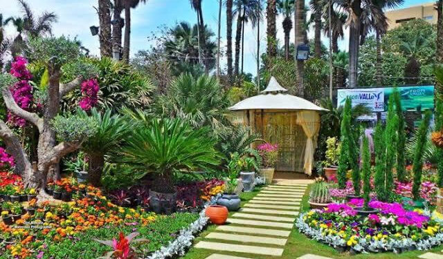 Le jardin d’Orman: Une beauté resplendissante 1 - Le Progrès Egyptien