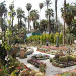 Le jardin d’Orman: Une beauté resplendissante 7 - Le Progrès Egyptien
