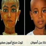 “Les Yeux du Sphinx” et “Les Petits-fils des Pharaons”, des tendances qui ont explosé 20 - Le Progrès Egyptien “Les Yeux du Sphinx” et “Les Petits-fils des Pharaons”, des tendances qui ont explosé 19 - Le Progrès Egyptien