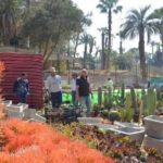 Le jardin d’Orman: Une beauté resplendissante 5 - Le Progrès Egyptien