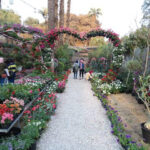 Le jardin d’Orman: Une beauté resplendissante 3 - Le Progrès Egyptien