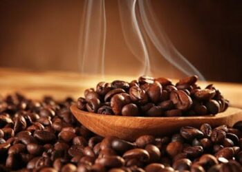 Le changement climatique pourrait nous priver du café