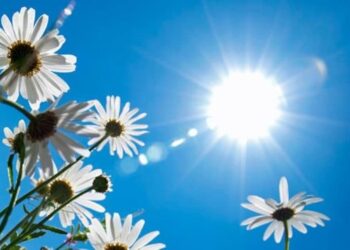 Un été 2022 parmi les plus chauds