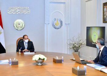 Al-Sissi : Créer des entreprises par voie électronique