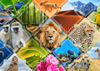 La biodiversité toujours menacée