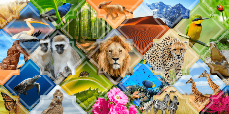 La biodiversité toujours menacée 1 - Le Progrès Egyptien