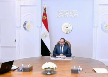 Al-Sissi planche sur la Nouvelle-Vallée