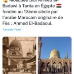 “L’Egypte”, “Les messages des Egyptiens à Ronaldinho” et “le procès Deep-Amber” au pic 11 - Le Progrès Egyptien