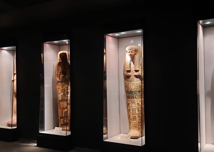 Le jeu des chiens et des chacals