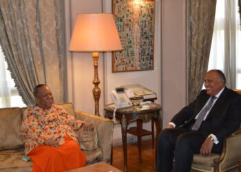 Choucri reçoit la ministre sud-africaine des relations internationales et de la Coopération