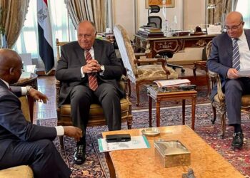 Choucri examine le renforcement de la coopération entre l’Egypte et le D-8