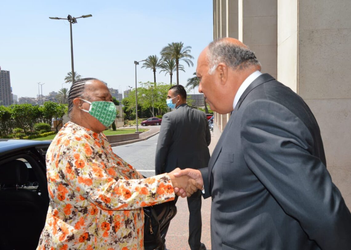 Choucri reçoit la ministre sud-africaine des relations internationales et de la Coopération