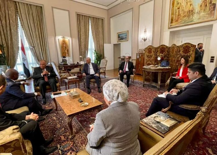Choucri examine le renforcement de la coopération entre l’Egypte et le D-8