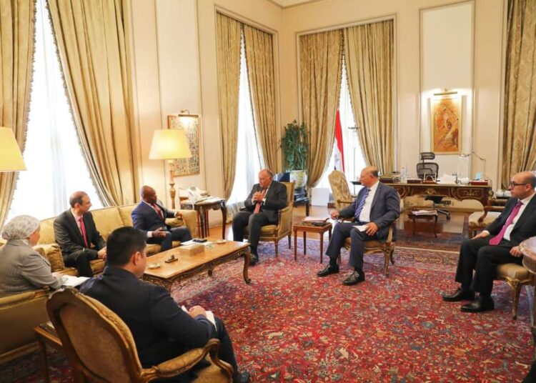Choucri examine le renforcement de la coopération entre l’Egypte et le D-8