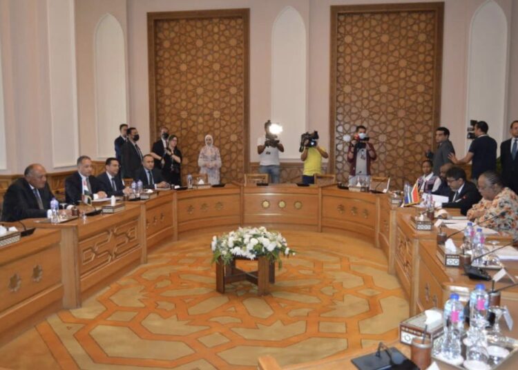 Choucri reçoit la ministre sud-africaine des relations internationales et de la Coopération