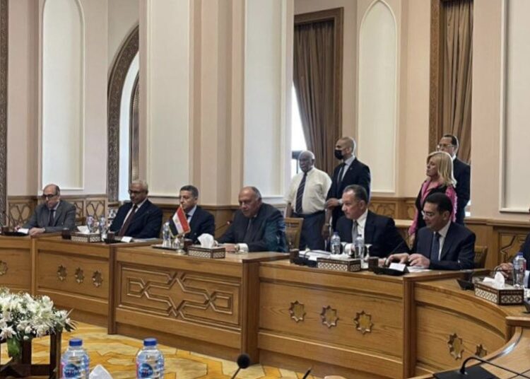 Choucri reçoit la ministre sud-africaine des relations internationales et de la Coopération