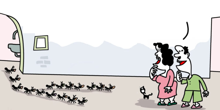 Des petits gâteaux sucrés pour la fête, mais lesquels ?! 1 - Le Progrès Egyptien