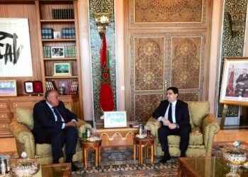 Choucri s’entretient avec son homologue marocain