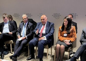 Choucri participe à la réunion annuelle du FEM à Davos