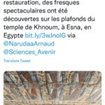 “L’Egypte”, “Les messages des Egyptiens à Ronaldinho” et “le procès Deep-Amber” au pic 15 - Le Progrès Egyptien