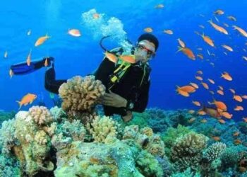 Sept plages à visiter en 2022 en Egypte