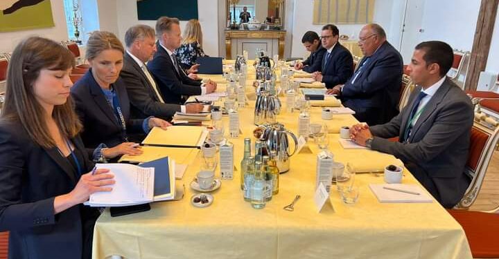 Entretien Choucri-Kofod 1 - Le Progrès Egyptien