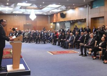 L’Égypte soutient pleinement la Tunisie