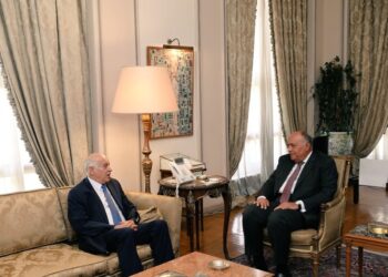 La cause palestinienne au menu de l’entretien Choucri / Rajoub