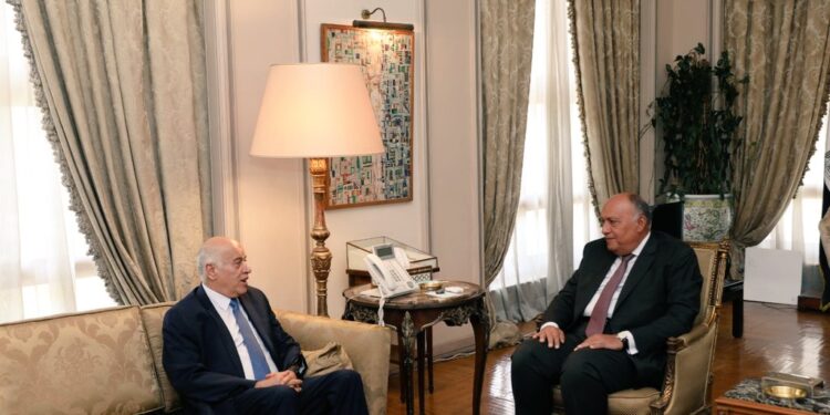 La cause palestinienne au menu de l’entretien Choucri / Rajoub 1 - Le Progrès Egyptien