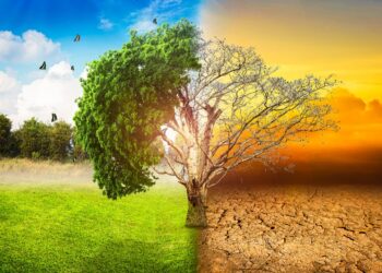 Lutte contre le changement climatique : L’Egypte progresse