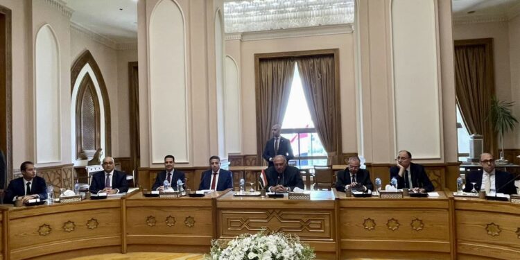 Egypte - Chypre : Concordance des vues 1 - Le Progrès Egyptien