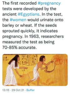 “L’Egypte ancienne” à nouveau en tête des tendances 12 - Le Progrès Egyptien “L’Egypte ancienne” à nouveau en tête des tendances 11 - Le Progrès Egyptien