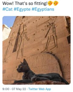 “L’Egypte ancienne” à nouveau en tête des tendances 4 - Le Progrès Egyptien “L’Egypte ancienne” à nouveau en tête des tendances 3 - Le Progrès Egyptien