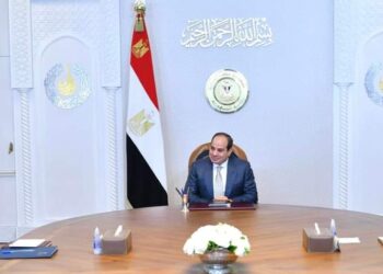 Al-Sissi examine des initiatives nationales avec Dr Tagueddine