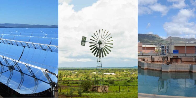 Appel international à l’Afrique à étendre ses obligations vertes 1 - Le Progrès Egyptien