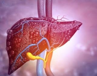 Des dangers résultants des “produits chimiques” sur le foie