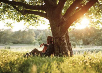 Deux heures dans la nature chaque semaine pour aller mieux