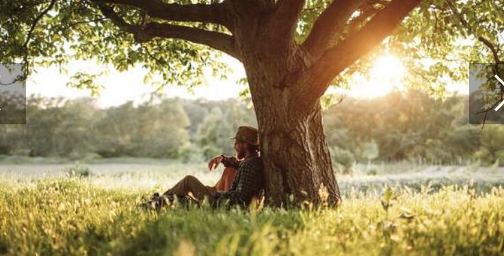Deux heures dans la nature chaque semaine pour aller mieux 2 - Le Progrès Egyptien Deux heures dans la nature chaque semaine pour aller mieux 1 - Le Progrès Egyptien