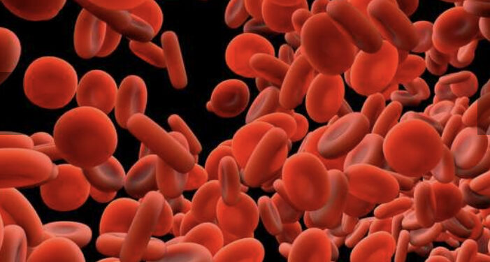 Covid-19 : Un mécanisme expliquant les troubles de la coagulation 1 - Le Progrès Egyptien