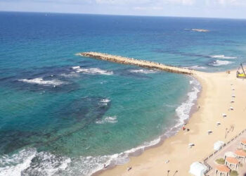 Campagne de nettoyage d’une plage à Alexandrie